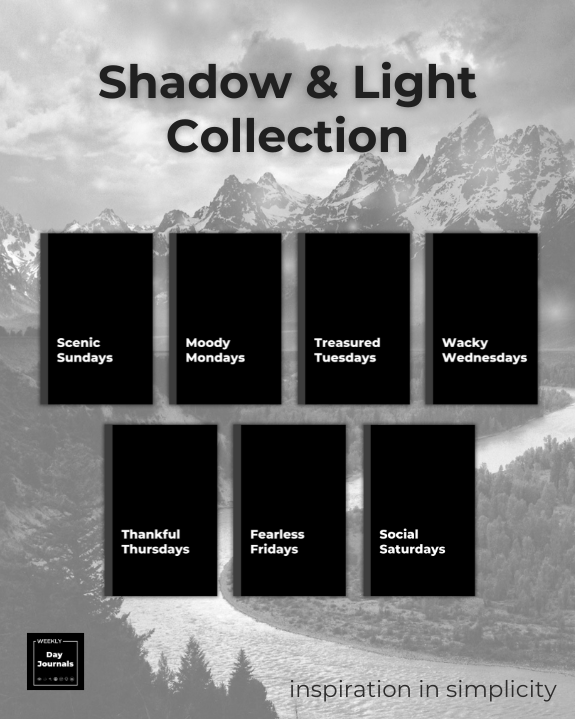 Shadow & Light
