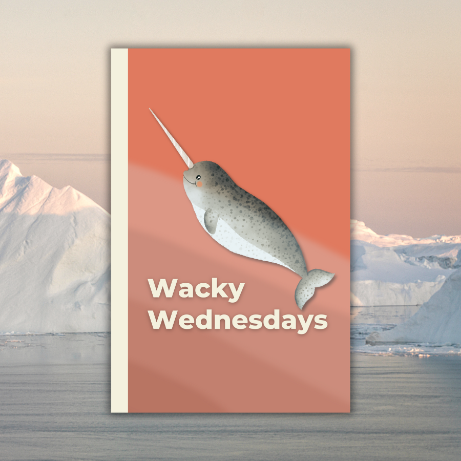 Wacky Wednesdays: A Children Animals Weekly Day Journal