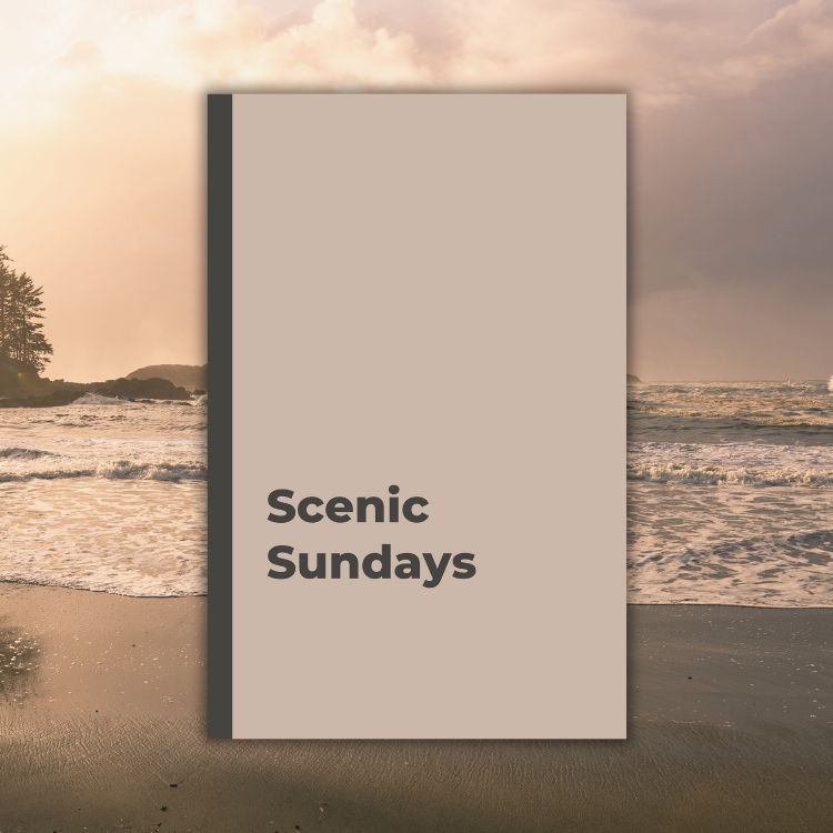 Scenic Sundays: A Sandy Shores Weekly Day Journal