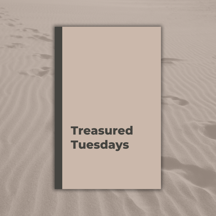 Treasured Tuesdays: A Sandy Shores Weekly Day Journal