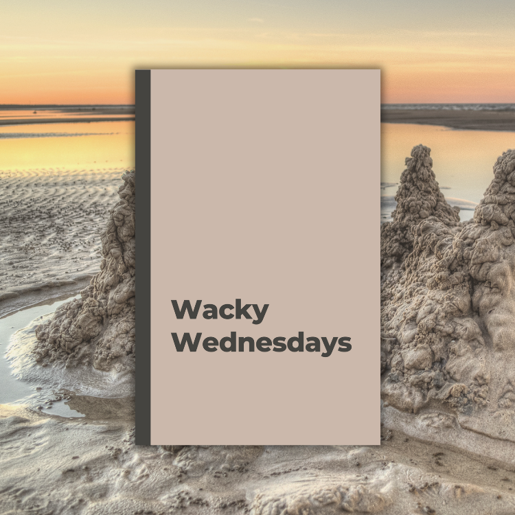 Wacky Wednesdays: A Sandy Shores Weekly Day Journal