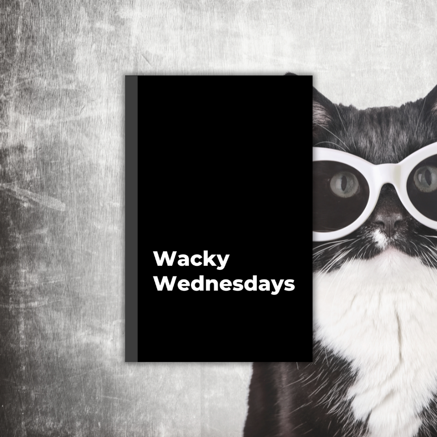 Wacky Wednesdays: A Shadow & Light Weekly Day Journal
