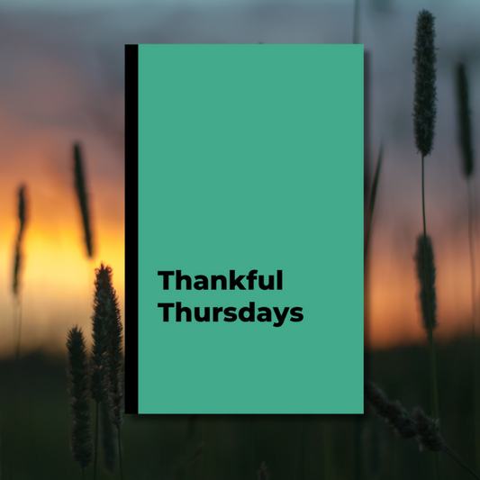 Thankful Thursdays: A Vibrant Vibes Weekly Day Journal
