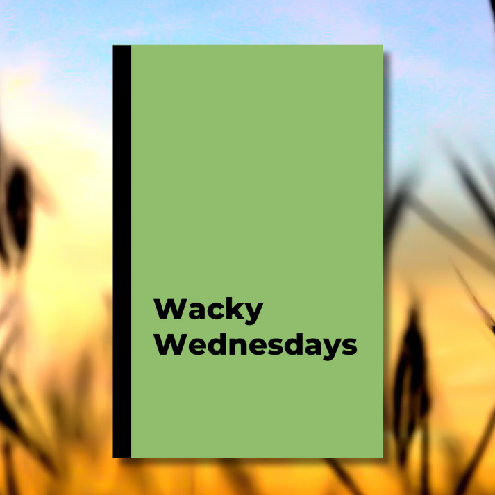 Wacky Wednesdays: A Vibrant Vibes Weekly Day Journal